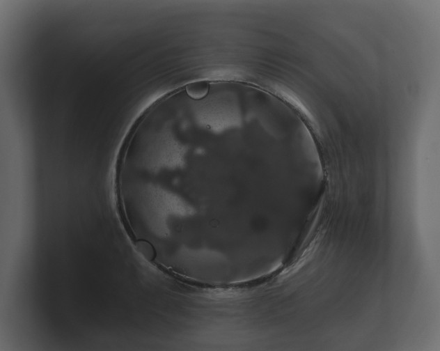 X0000100751087200806261539