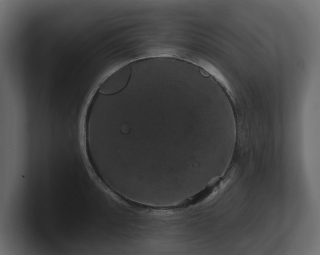 X0000100751088200806261539