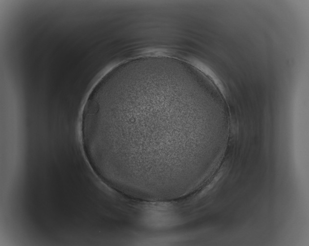 X0000100751090200806261539