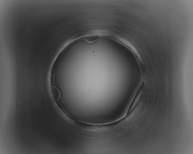 X0000100751091200806261539