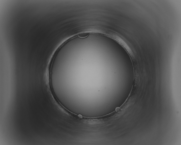 X0000100751092200806261539