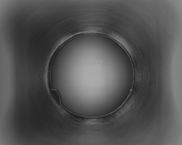 X0000100751093200806261539