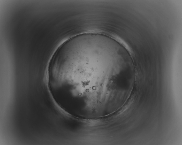 X0000100751095200806261539