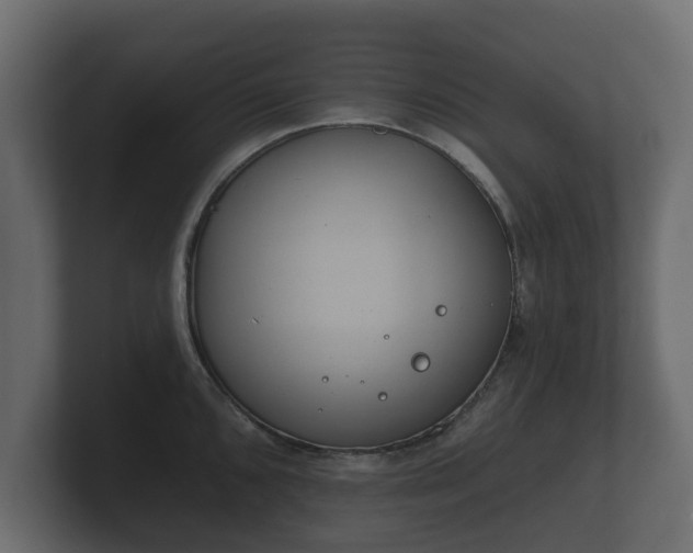 X0000100751096200806261539