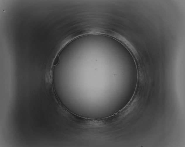 X0000100751097200806261539