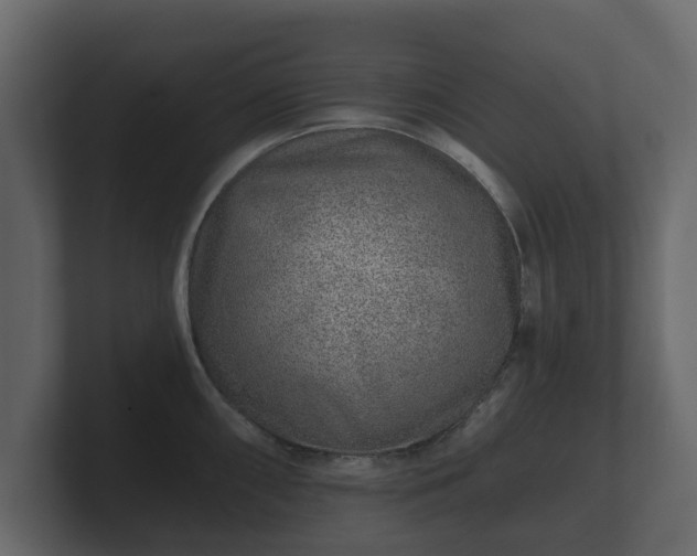 X0000100751098200806261538