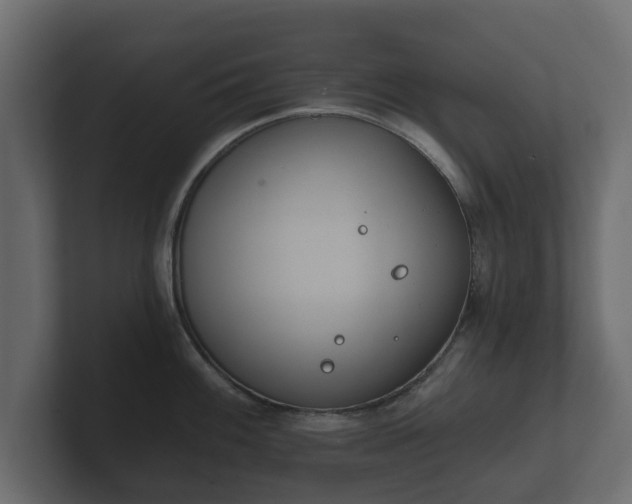 X0000100751100200806261538