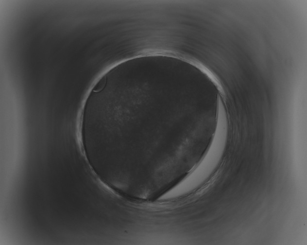 X0000100751102200806261538