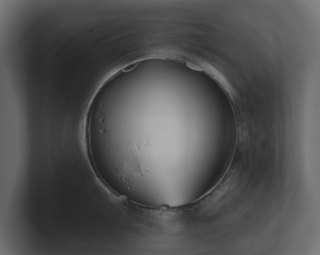 X0000100751103200806261538