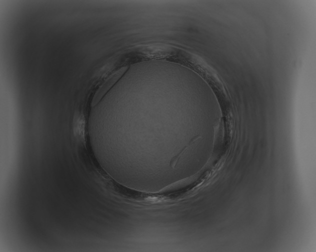 X0000100751108200806261538