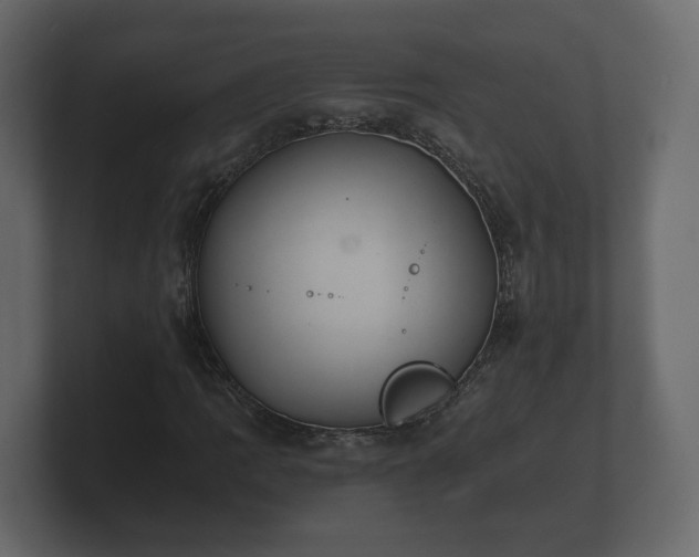 X0000100751109200806261538