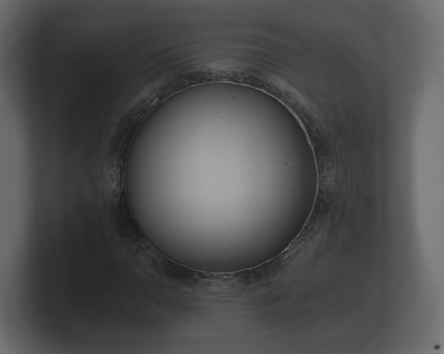 X0000100751110200806261538