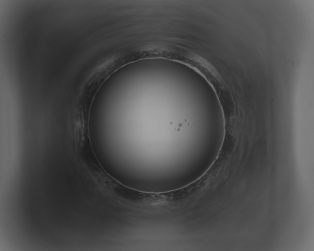 X0000100751111200806261538