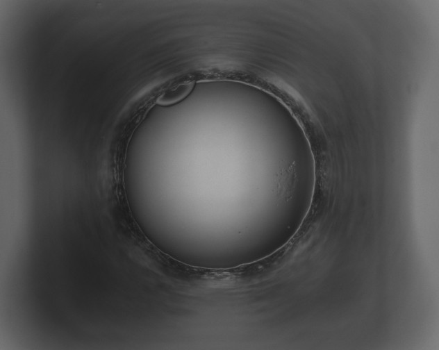 X0000100751112200806261538