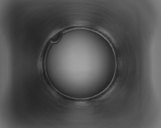 X0000100751114200806261538