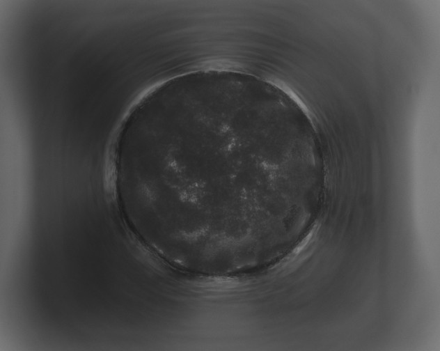 X0000100751115200806261538