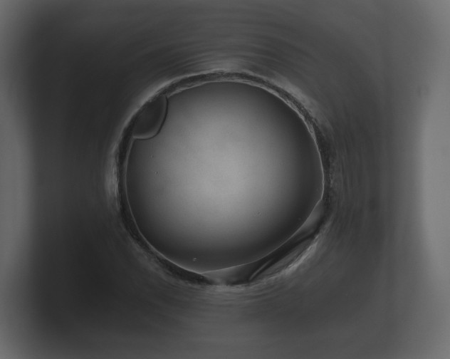 X0000100751118200806261538