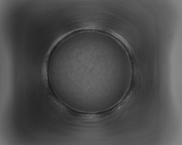 X0000100751120200806261538