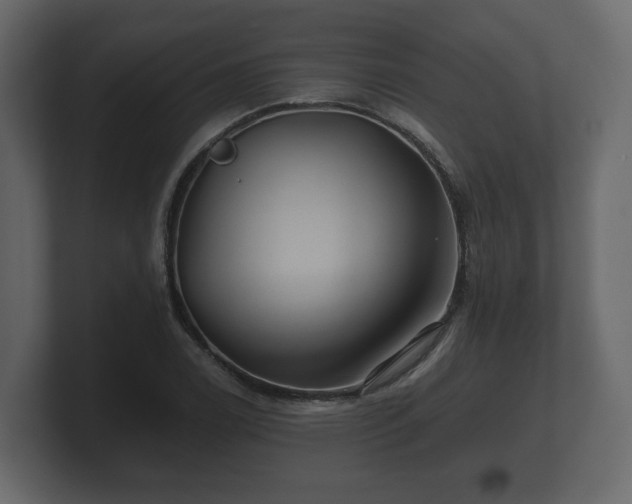 X0000100751122200806261538