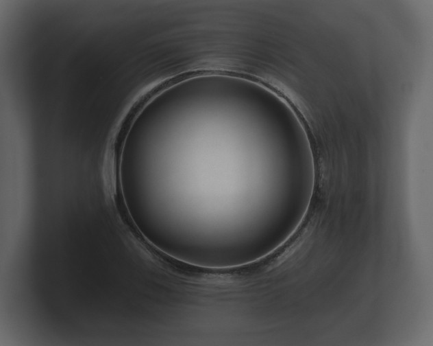 X0000100751123200806261538