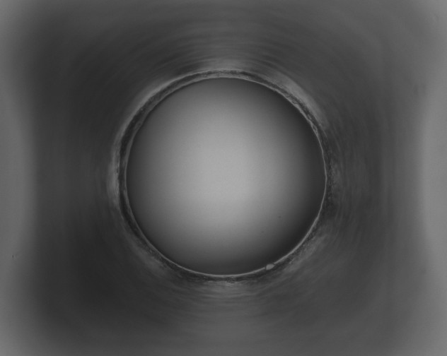 X0000100751124200806261538