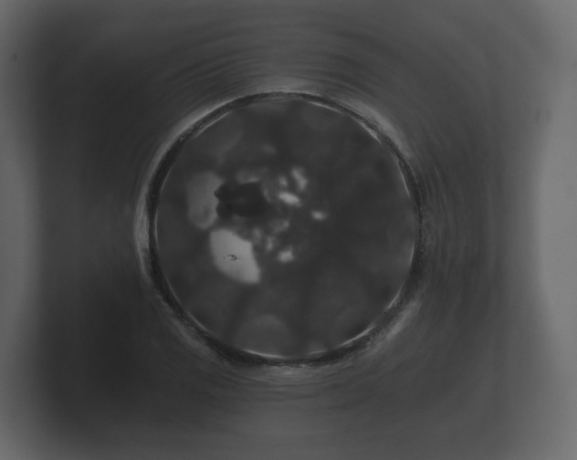 X0000100751125200806261538