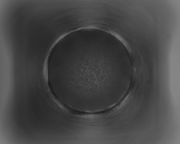 X0000100751127200806261538