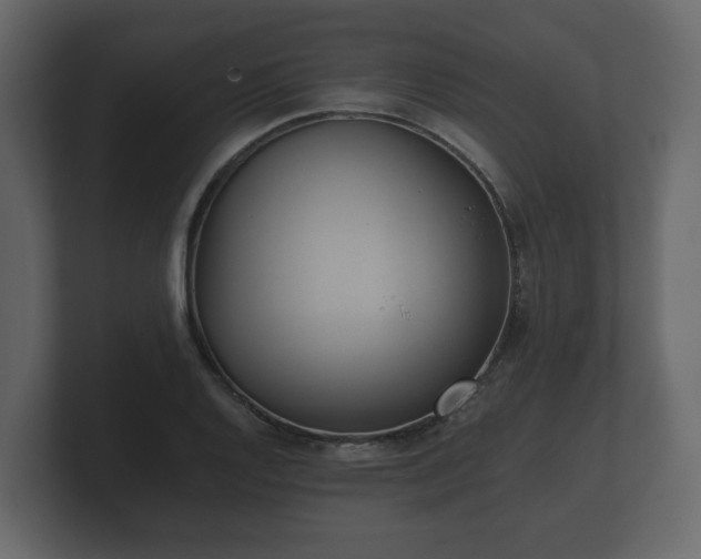 X0000100751128200806261538