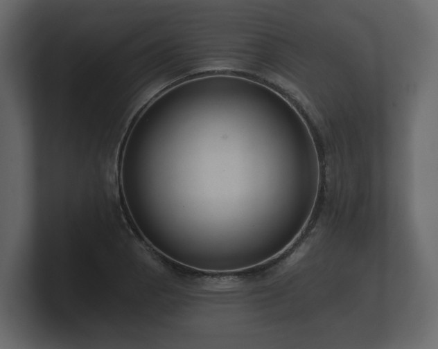 X0000100751129200806261538