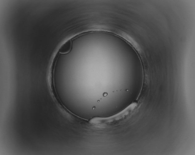 X0000100751136200806261538