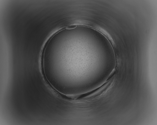 X0000100751138200806261538