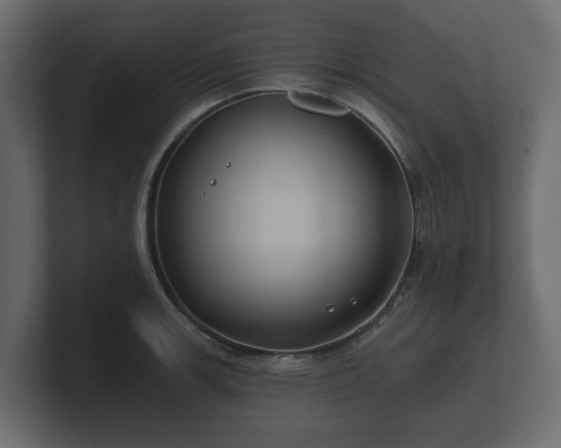 X0000100751139200806261538