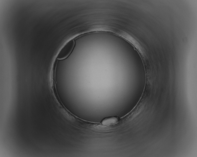 X0000100751140200806261538