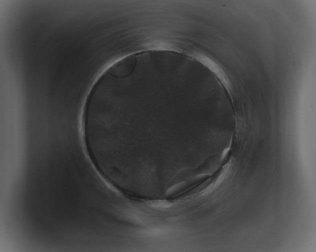 X0000100751141200806261538