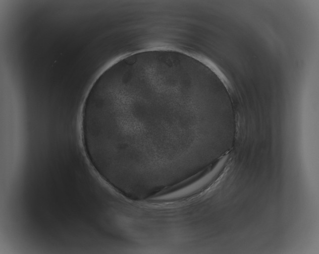 X0000100751142200806261538