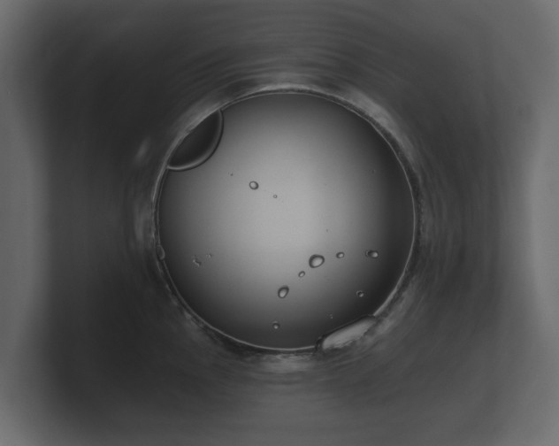 X0000100751145200806261538