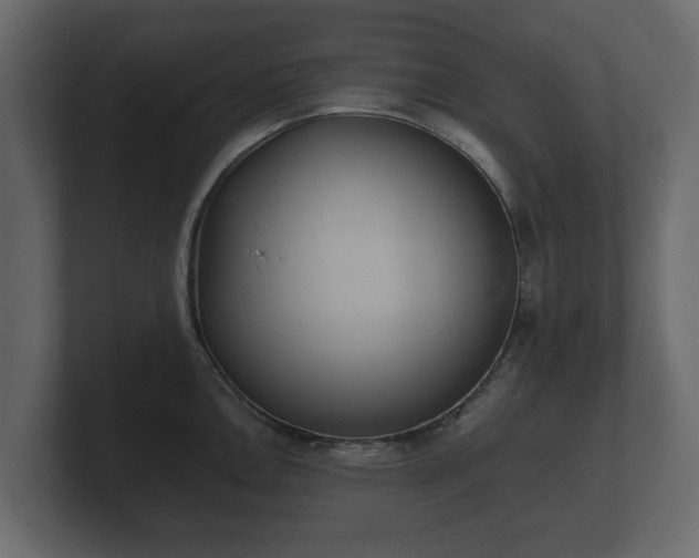 X0000100751146200806261538