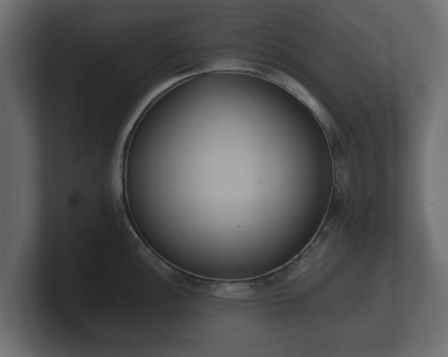 X0000100751148200806261538