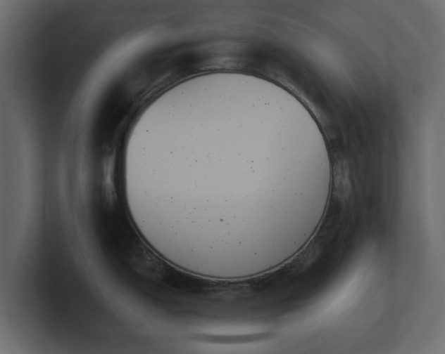 X0000100751150200806261538