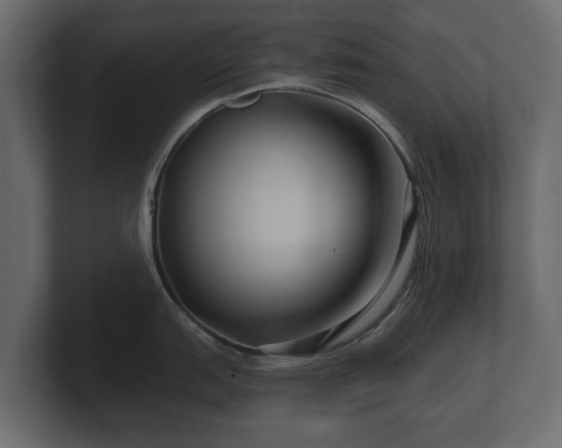 X0000100751151200806261538