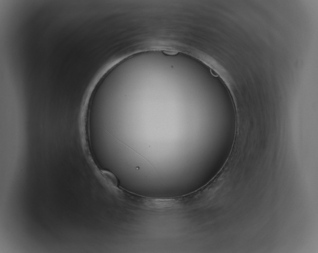 X0000100751152200806261538