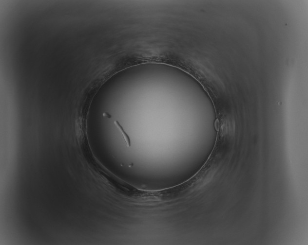 X0000100751156200806261538