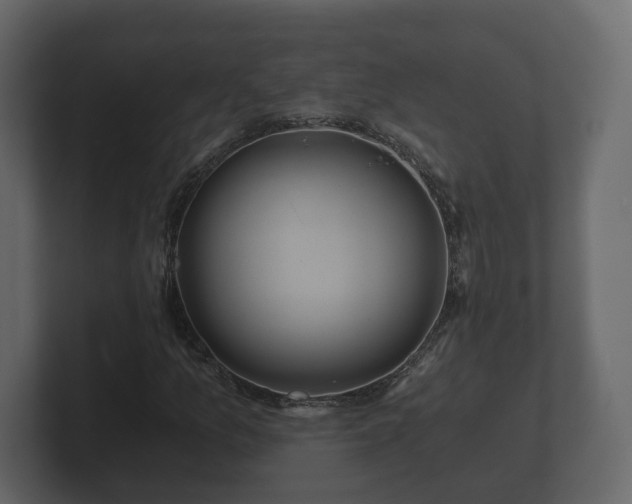 X0000100751157200806261538