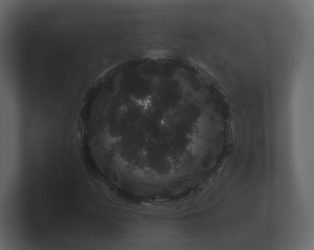 X0000100751158200806261538