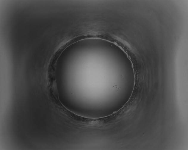 X0000100751160200806261538