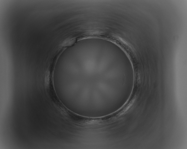 X0000100751161200806261538