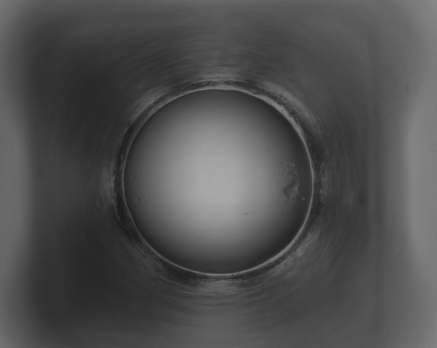 X0000100751162200806261538