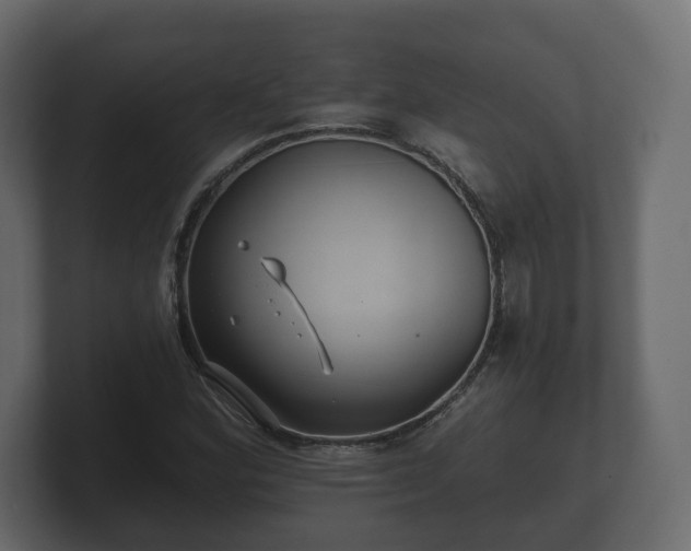 X0000100751164200806261538