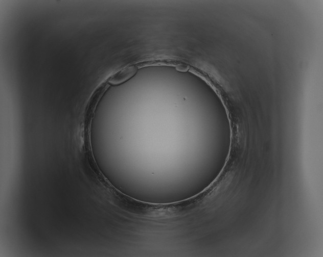 X0000100751165200806261538