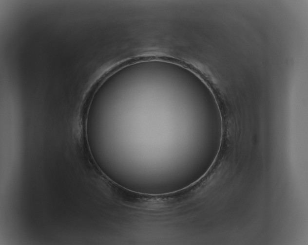 X0000100751167200806261537